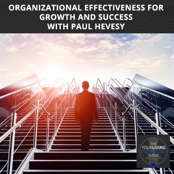 LBL Paul Hevesy | Organizational Effectiveness